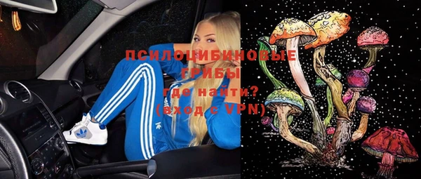 стаф Зеленокумск