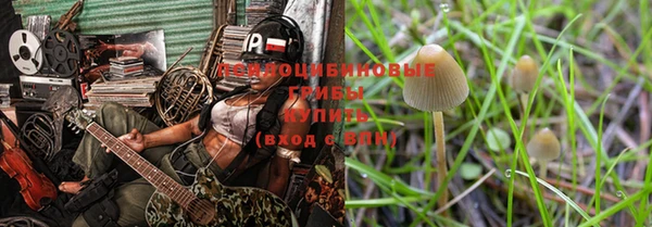 стаф Зеленокумск