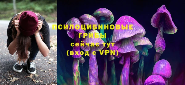 винт Зеленодольск
